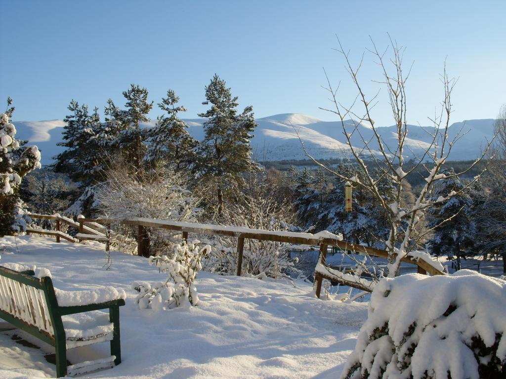 Cairngorm Lodge Youth Hostel Loch Morlich Exteriör bild