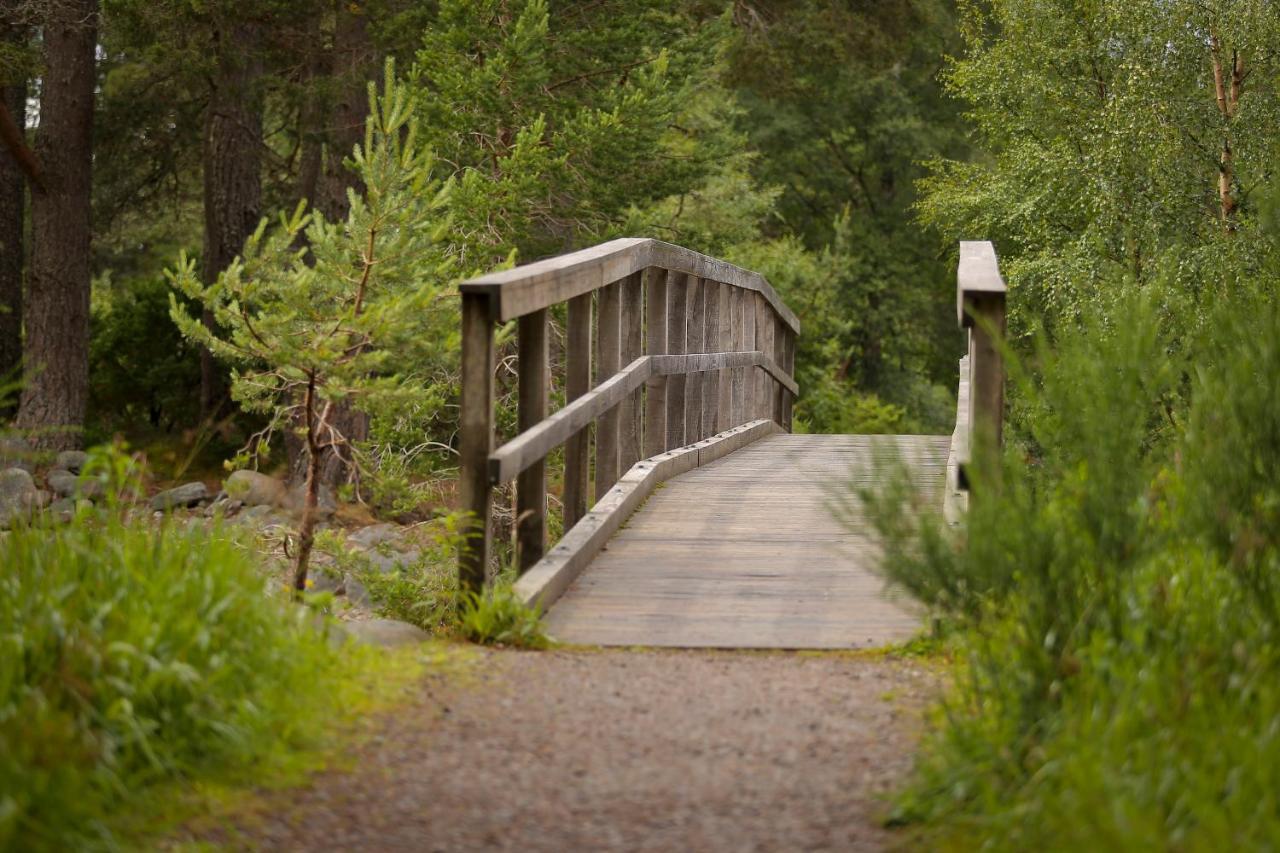 Cairngorm Lodge Youth Hostel Loch Morlich Exteriör bild