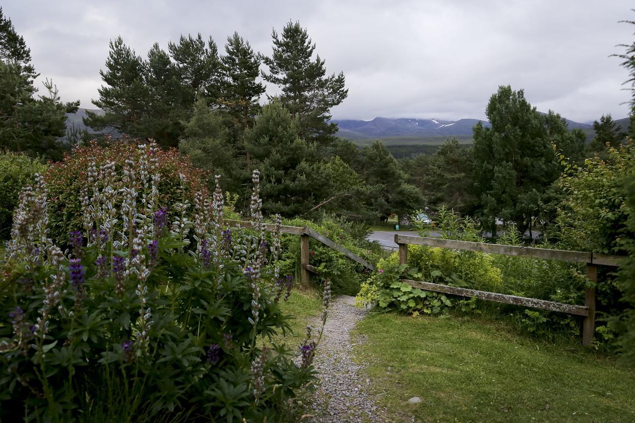 Cairngorm Lodge Youth Hostel Loch Morlich Exteriör bild