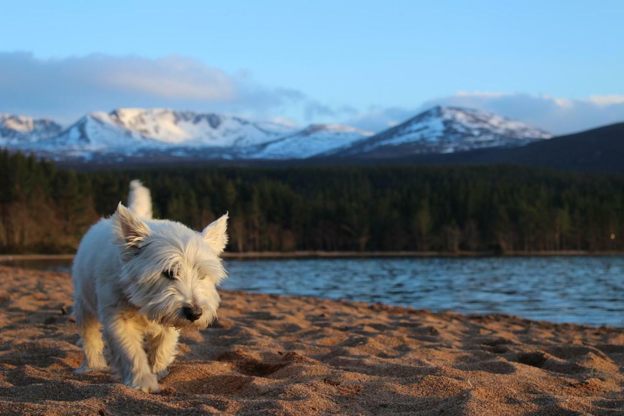 Cairngorm Lodge Youth Hostel Loch Morlich Exteriör bild